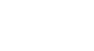 Logo Icon