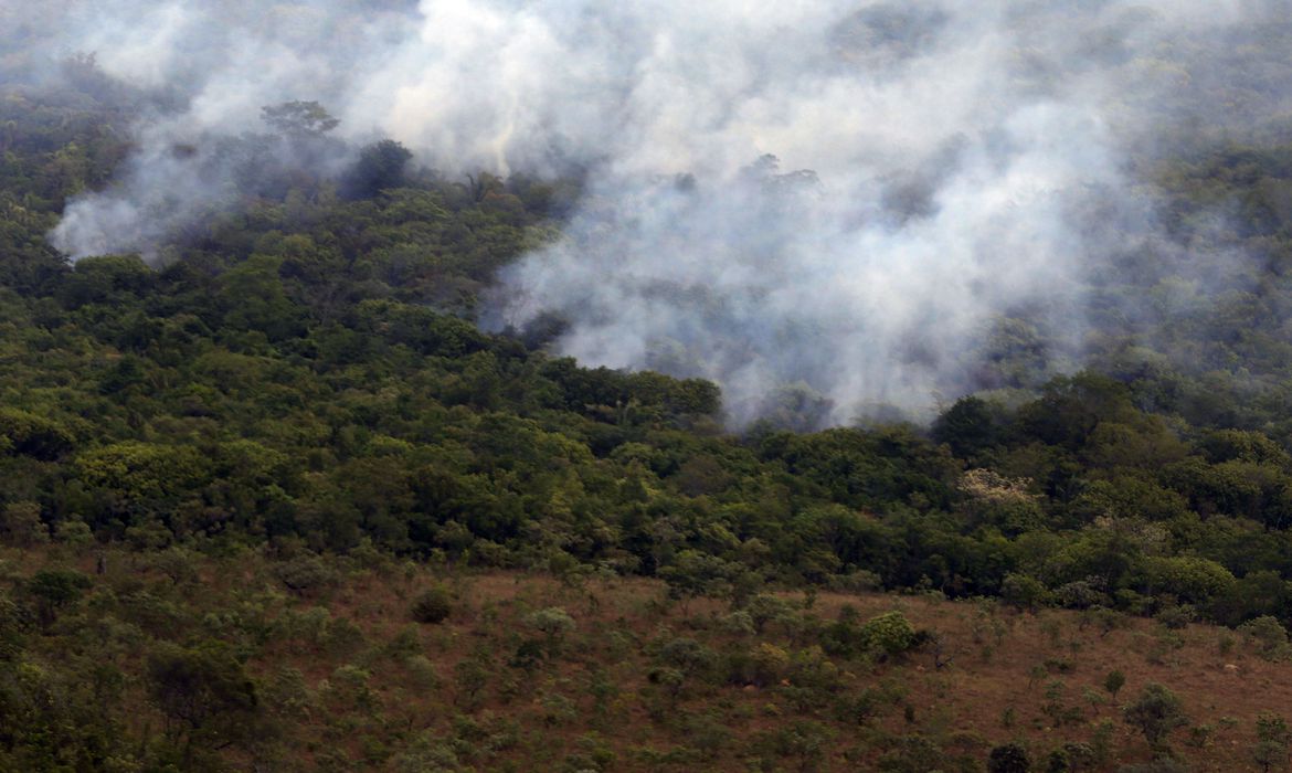 Quatro pessoas são indiciadas por provocar incêndio na Chapada dos Veadeiros