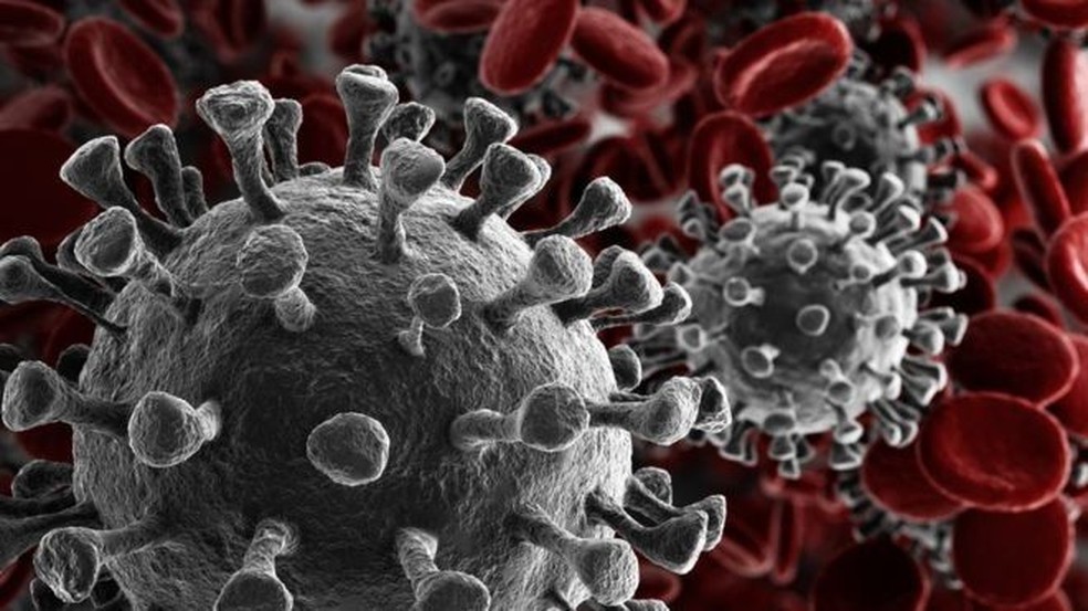 Especialistas apontam que ações  do governo agravaram pandemia
