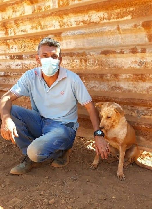 Defensor dos animais pré-candidato se preocupa com o abandono e maus tratos aos bichos.