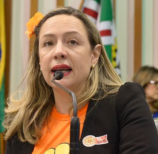 Entidades elogiam ação da polícia no combate à pedofilia