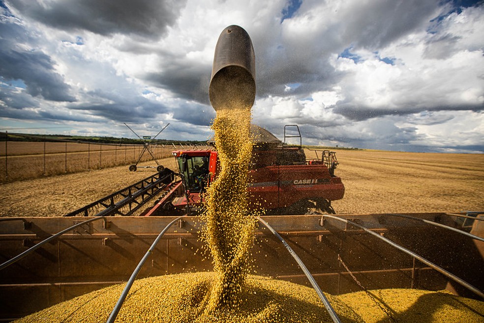 Em 2021 as exportações do agronegócio do Brasil somam US$ 120,6 bilhões e batem recorde