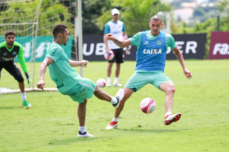 Verde busca primeira sequência