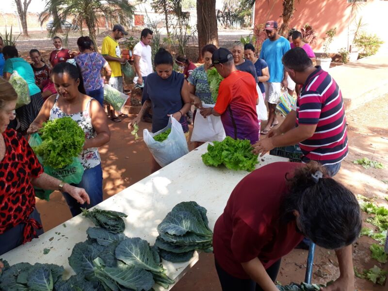 Horta comunitária atende famílias e instituições