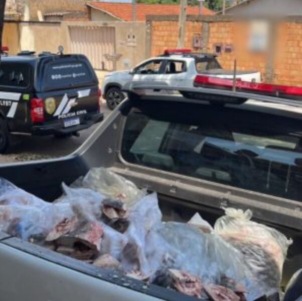 Polícia Civil apreende mais de 200 Kg de pescados em peixaria clandestina, em Aparecida de Goiânia