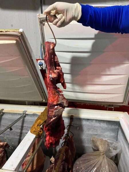 Mais de 800 kg de carne são apreendidos e suspeito é preso, em Iporá