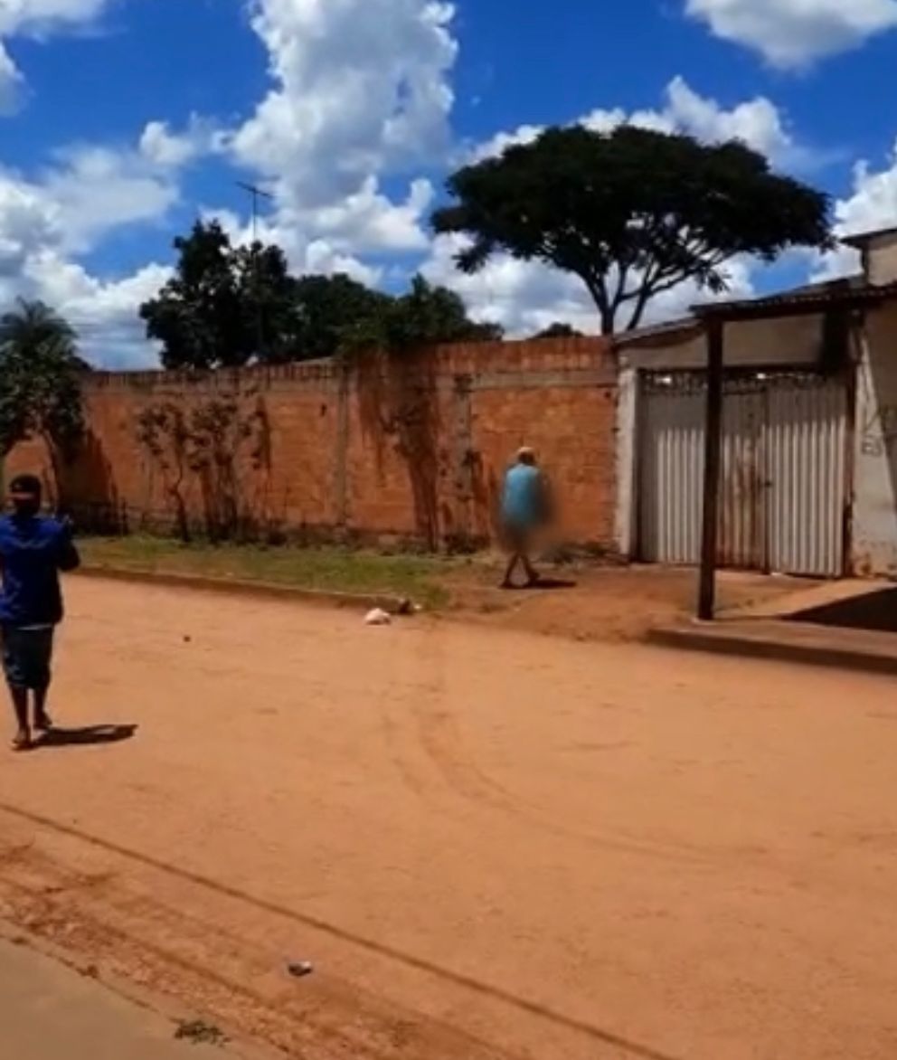 Mulher é presa após maltratar cachorro, em Santo Antônio do Descoberto