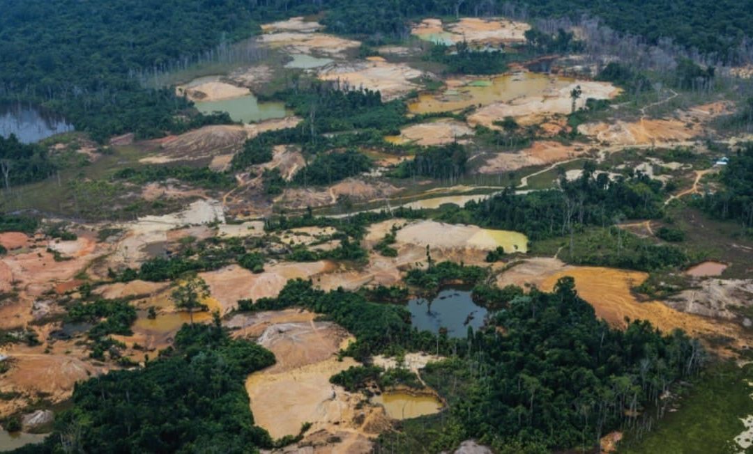Cerca de mil garimpeiros resistem a deixar terra Yanomami, na Amazônia