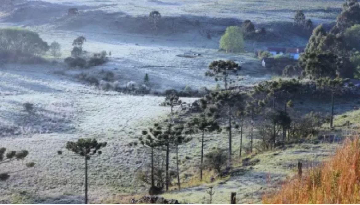 Alerta de frio: Defesa Civil prevê temperatura mínima de 0°C em Santa Catarina