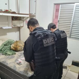 Operação Gaudério: Prisões no golpe do novo número visando idosos