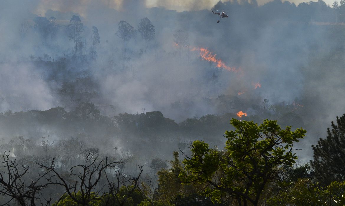 Amazônia tem junho com mais queimadas em 16 anos
