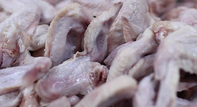 Gripe aviária: Agricultura confirma mais um caso em ave silvestre