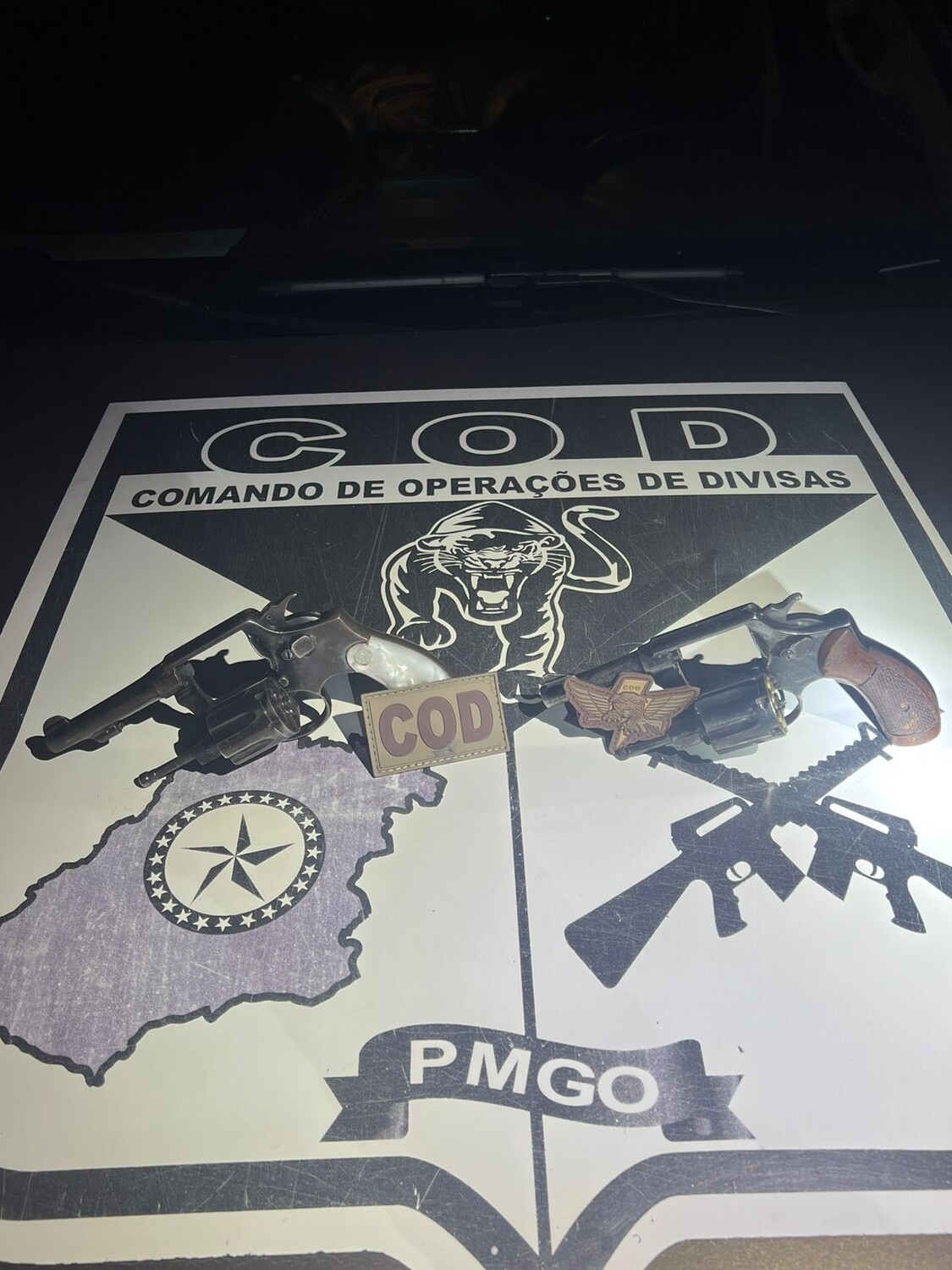 Confronto entre equipe do  COD e ladrões termina em morte na GO-010