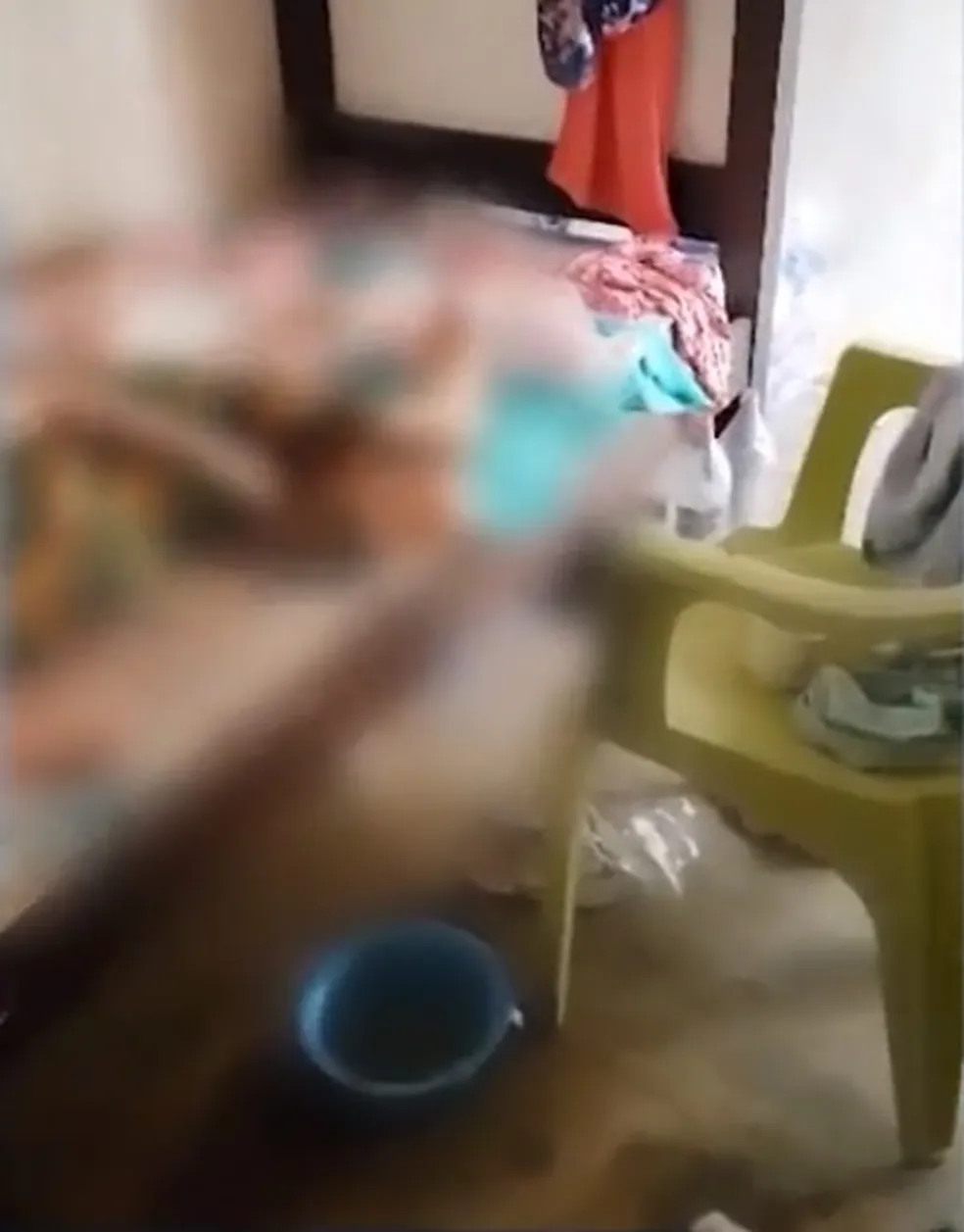 Homem é preso suspeito de maus tratos e exploração financeira contra bisavó de 101 anos