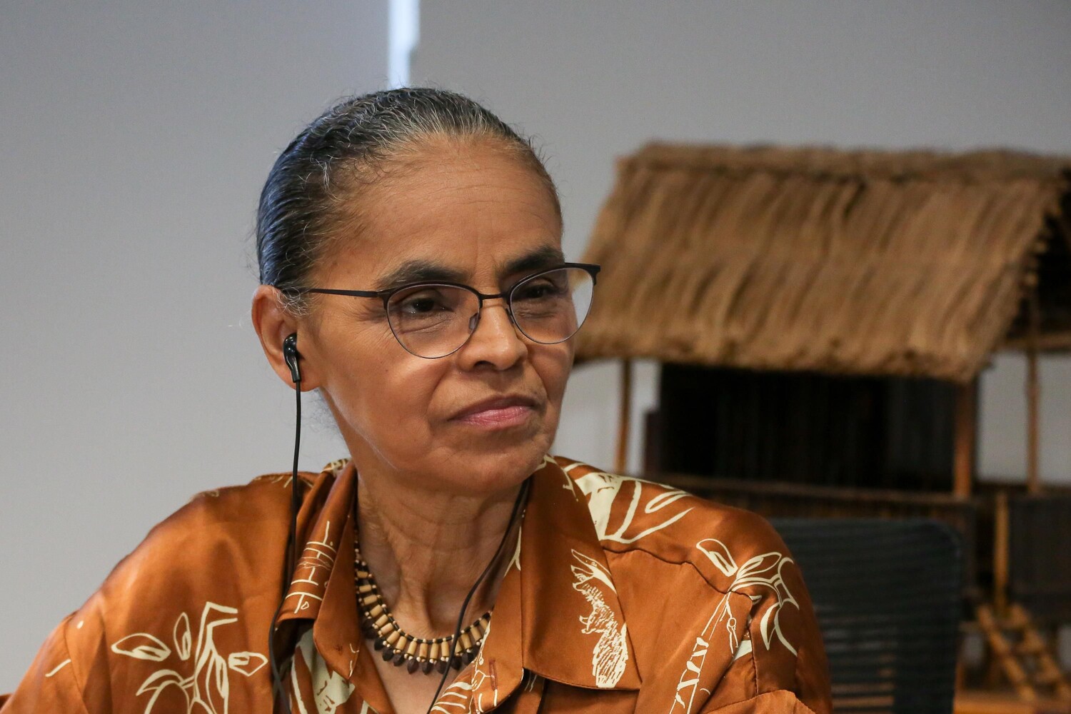 Marina nega postura política do Ibama e diz que órgão avalia licença de petróleo com isenção