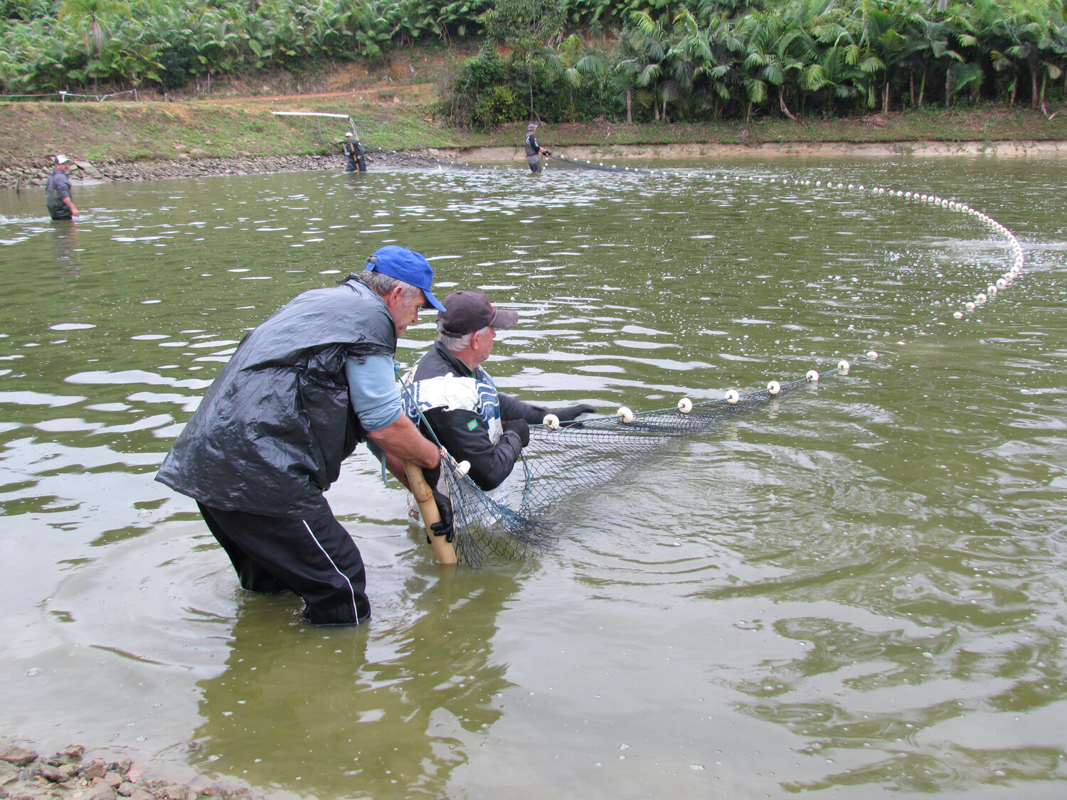 Semana do Pescado em sua 20ª edição movimenta economia local