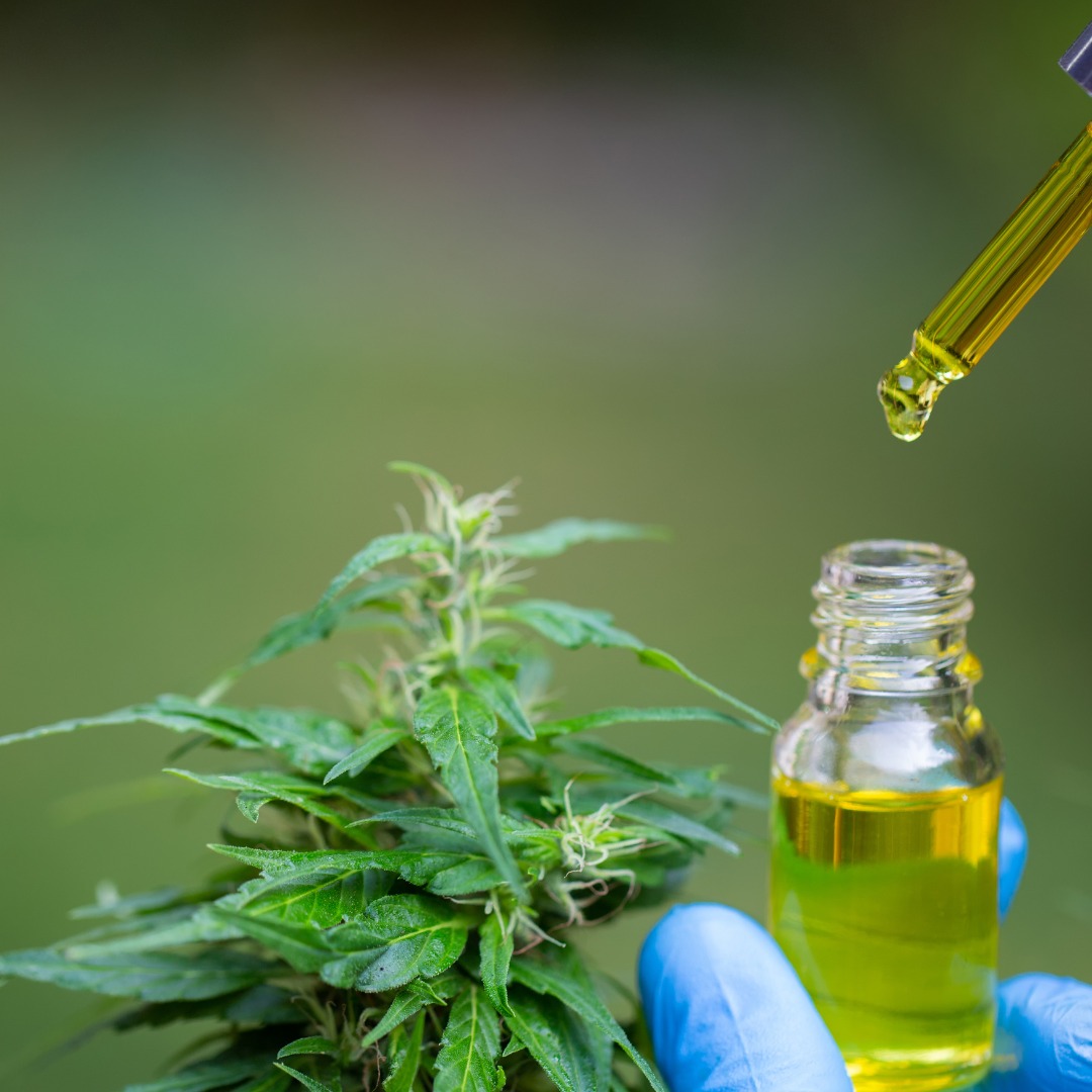 Iquego fornece produto a base de Cannabis Medicinal para o Amapá