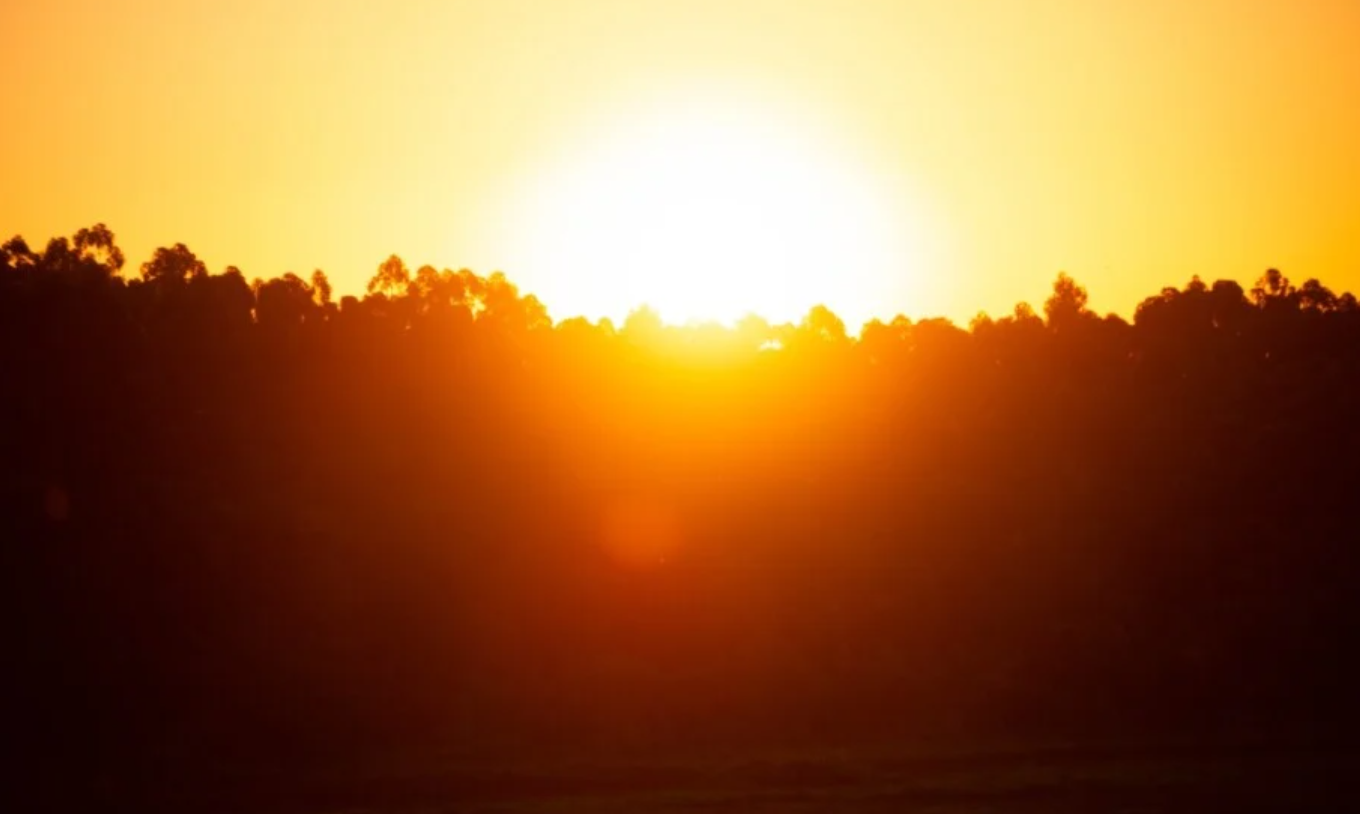 Semana será de altas temperaturas e risco de incêndio em todo Estado