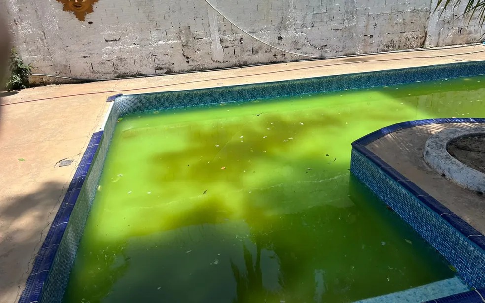 Piscina repleta de lodo era usada para torturar internos de clínica clandestina, afirma Polícia