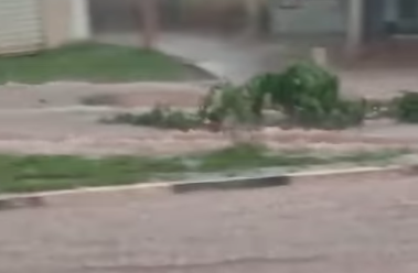 Chuva provoca estragos e estado de emergência é decretado em São Simão