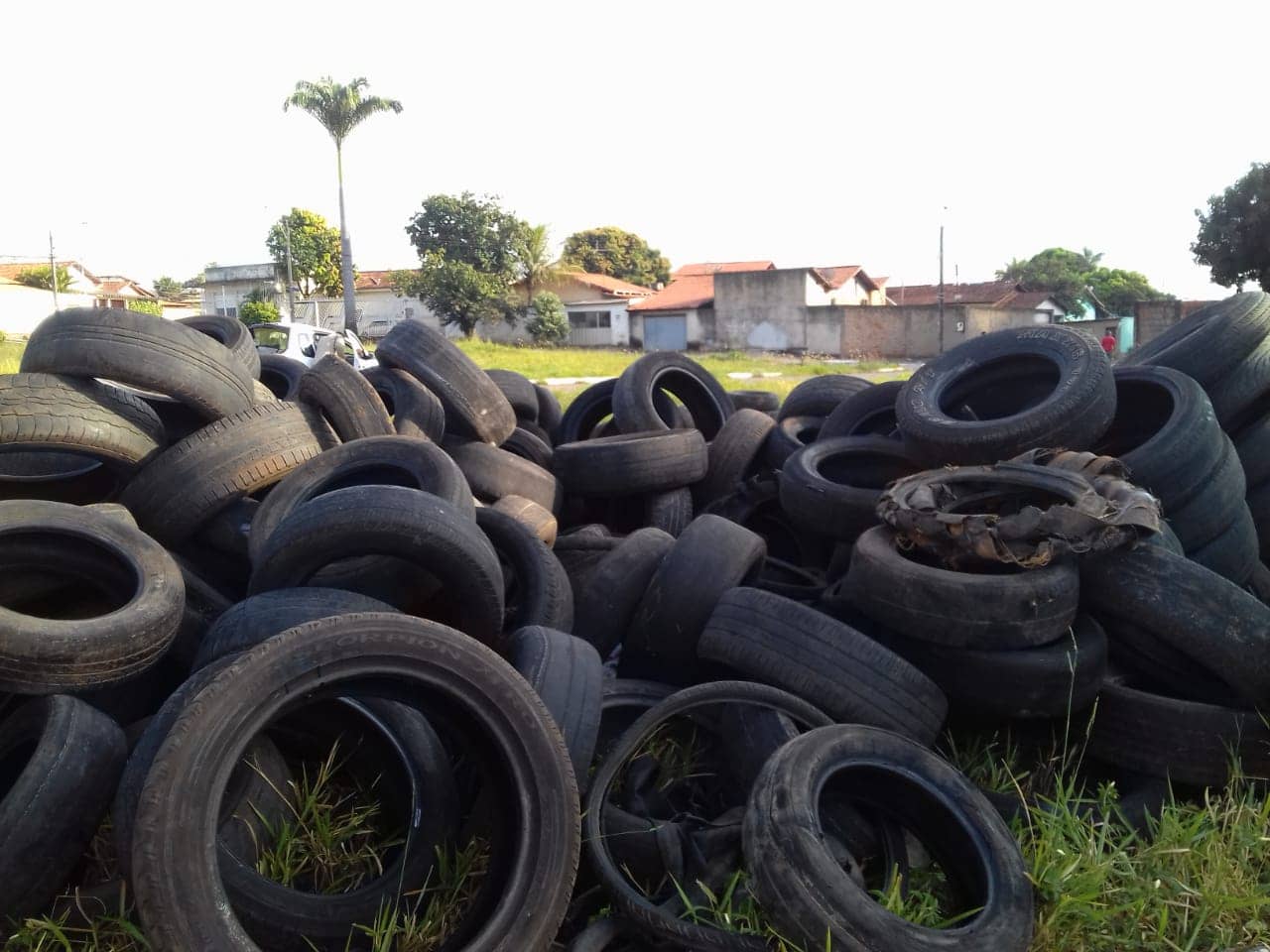 Mais 4 mil pneus são recolhidos em Goiânia
