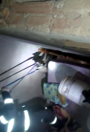 Bombeiros resgatam animais silvestres dentro de casas em Caldas Novas