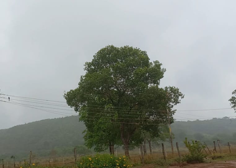 Cimehgo aponta chegada de frente fria em Goiás neste fim de semana