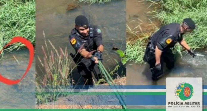 Suspeitos de matar homem a facadas são presos, em Iporá