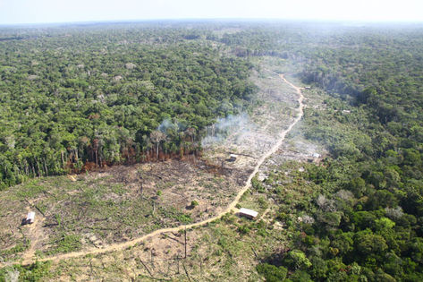 Desmatamento: País tem maior alta de emissão de gases de efeito estufa em 19 anos