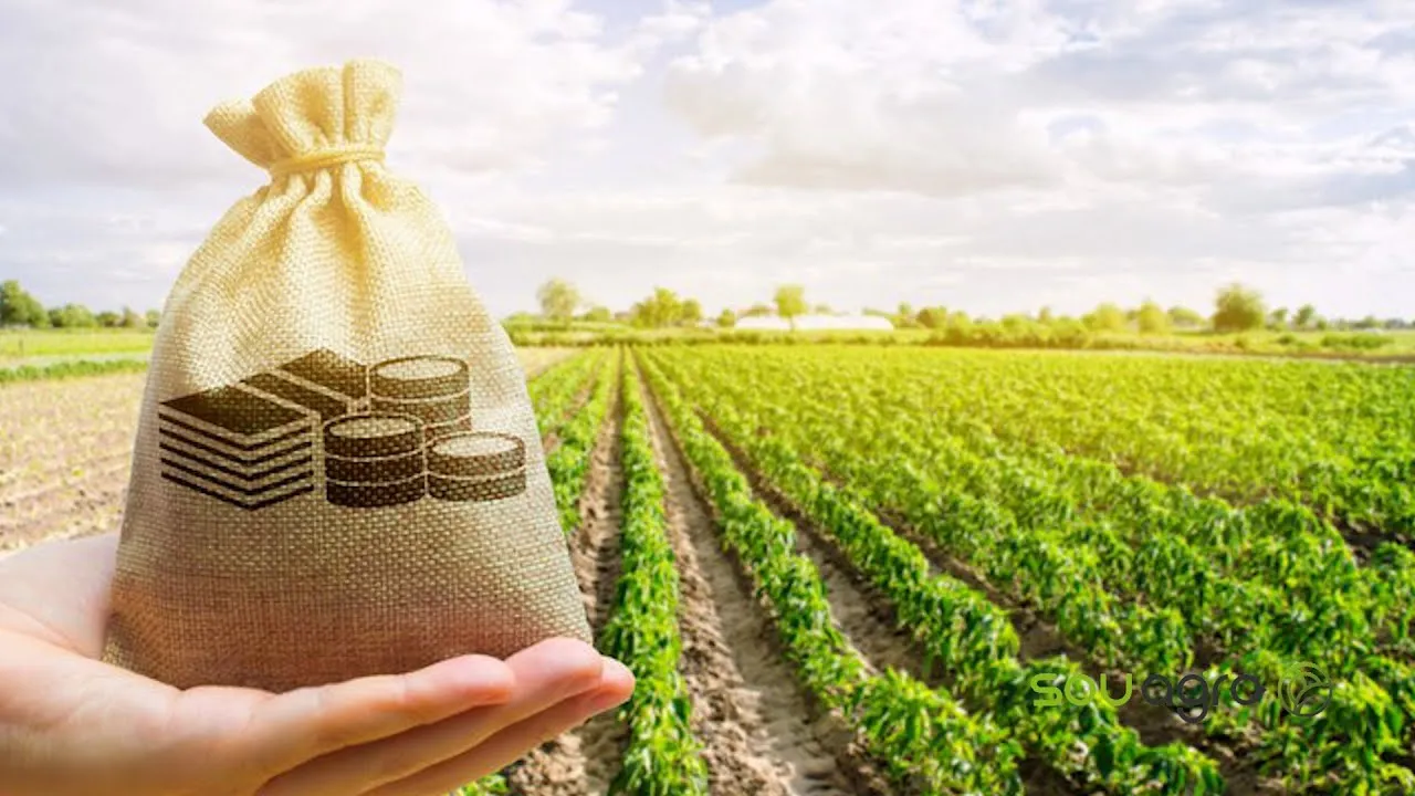 Governo Federal anuncia R$ 364,2 bi para setor rural