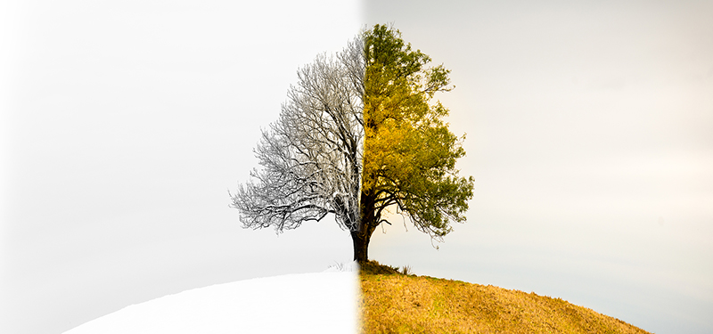 Mindset de Crescimento
