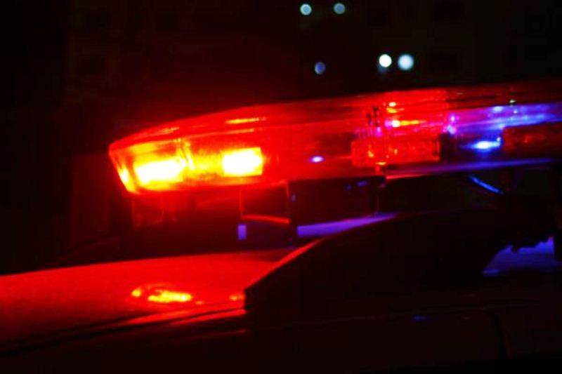 Duas mulheres são presas após cães farejadores encontrarem drogas em bagagens