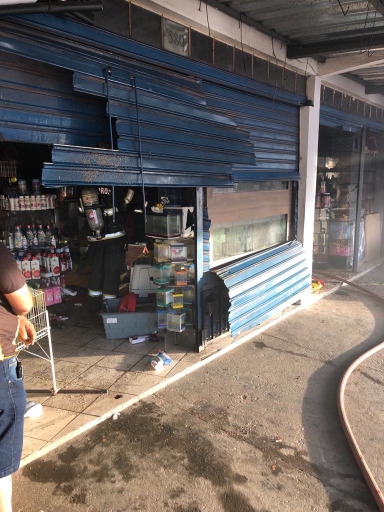 Incêndio em pet shop na capital goiana deixa 26 aves mortas