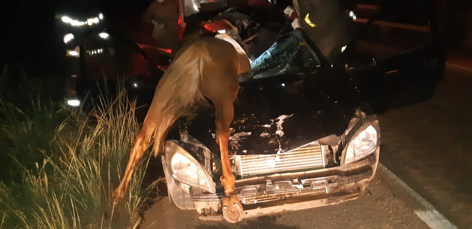 Idosa morre após carro atropelar cavalo na BR-153, em Rialma