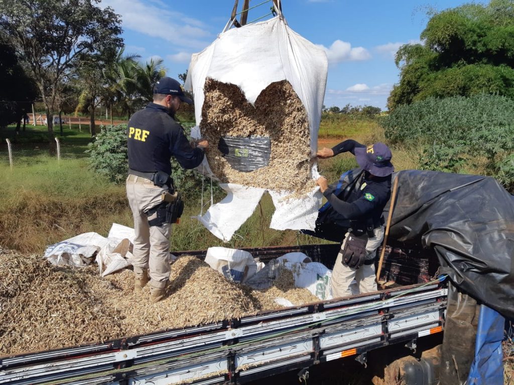 Dupla é detida por transportar cerca de uma tonelada de maconha, em Jataí
