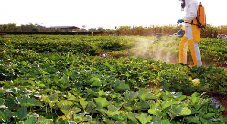 Polícia apreende agrotóxicos comercializados no Estado e arredores