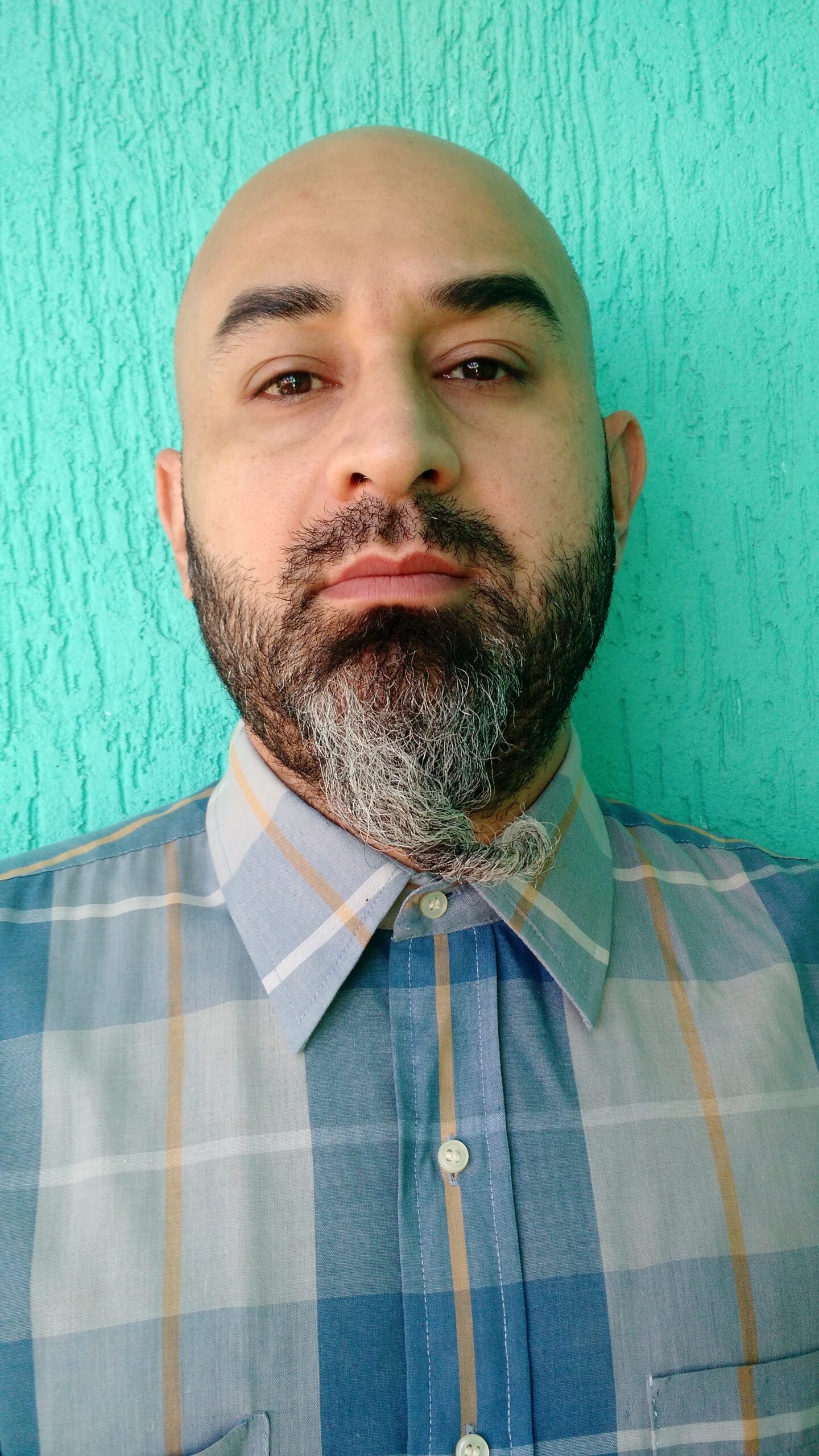 Comemorar ou não comemorar, eis a questão