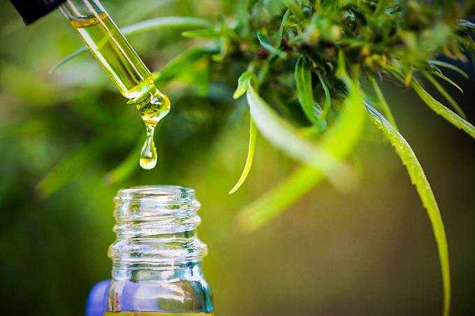 Anvisa autoriza a chegada de novo canabidiol
