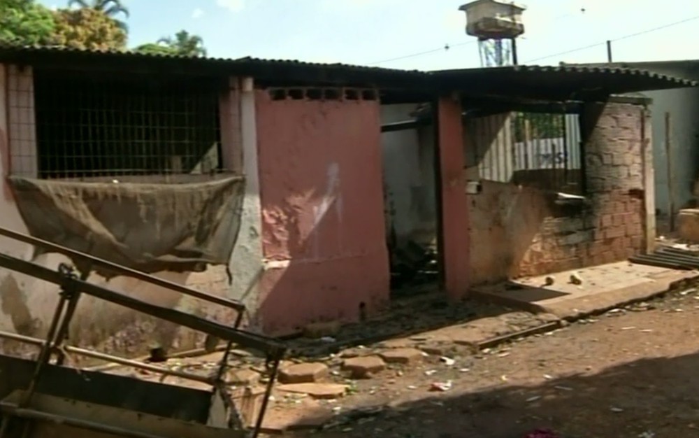 Bombeiros tiram idoso e seis cachorros de casa em chamas