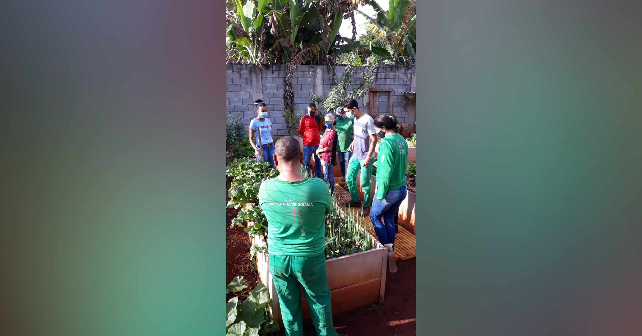 Projeto da Faeg Jovem implanta Sistema de Produção Agrícola em Goiás