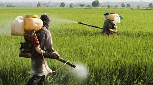 Governo libera registro de 31 novos agrotóxicos