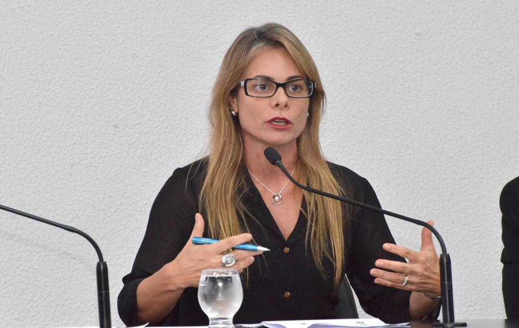 Secretária da Economia debate metas fiscais do 1° quadrimestre na Comissão de Finanças
