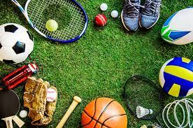 Do futebol ao basquete: modalidades despertam espírito competitivo dos torcedores brasileiros