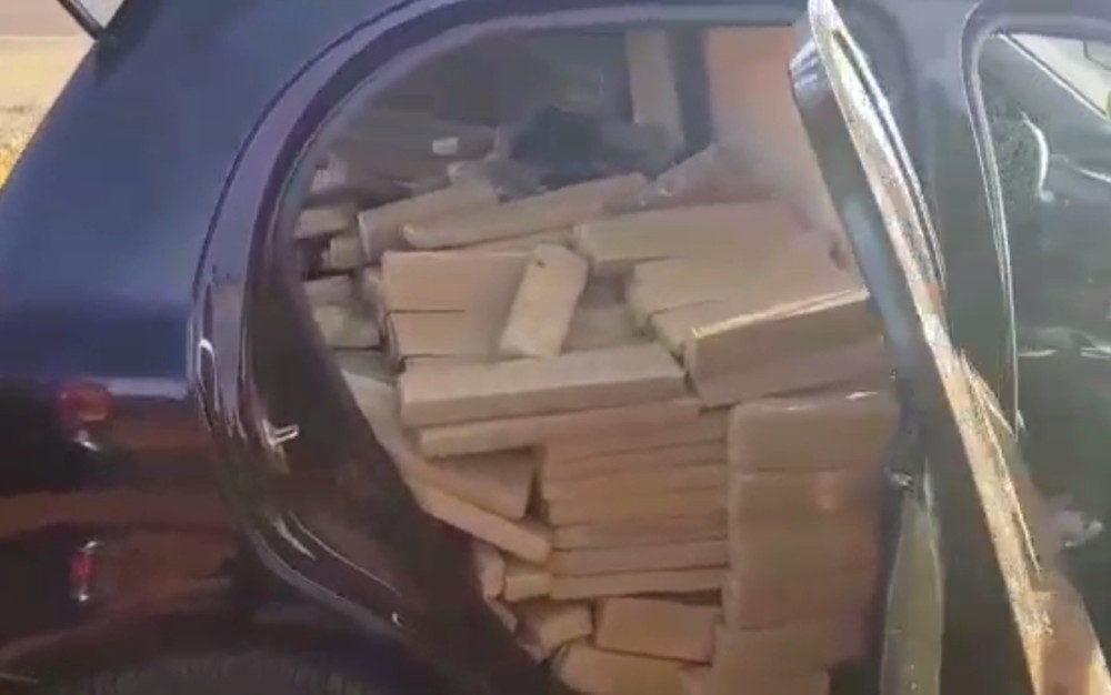Polícia apreende 800 kg de maconha em Jataí
