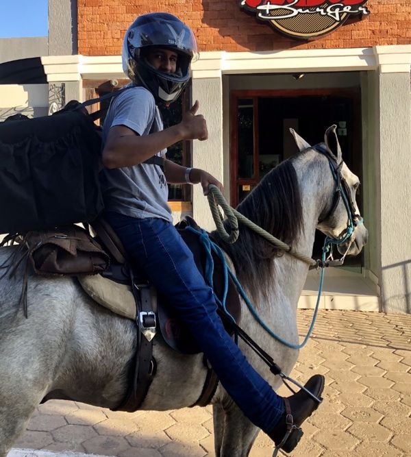 Hamburgueria em Brasília usa cavalos para fazer entregas por causa da falta de combustível