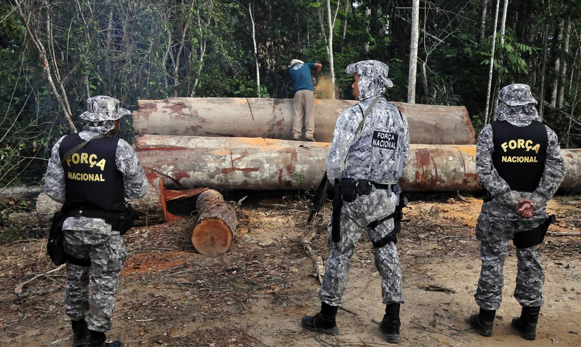 Justiça bloqueia R$ 310 milhões e põe PF no encalço de quadrilha por desmatamento
