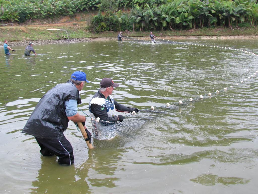Semana do Pescado 2022 vai movimentar todas as regiões do país em setembro