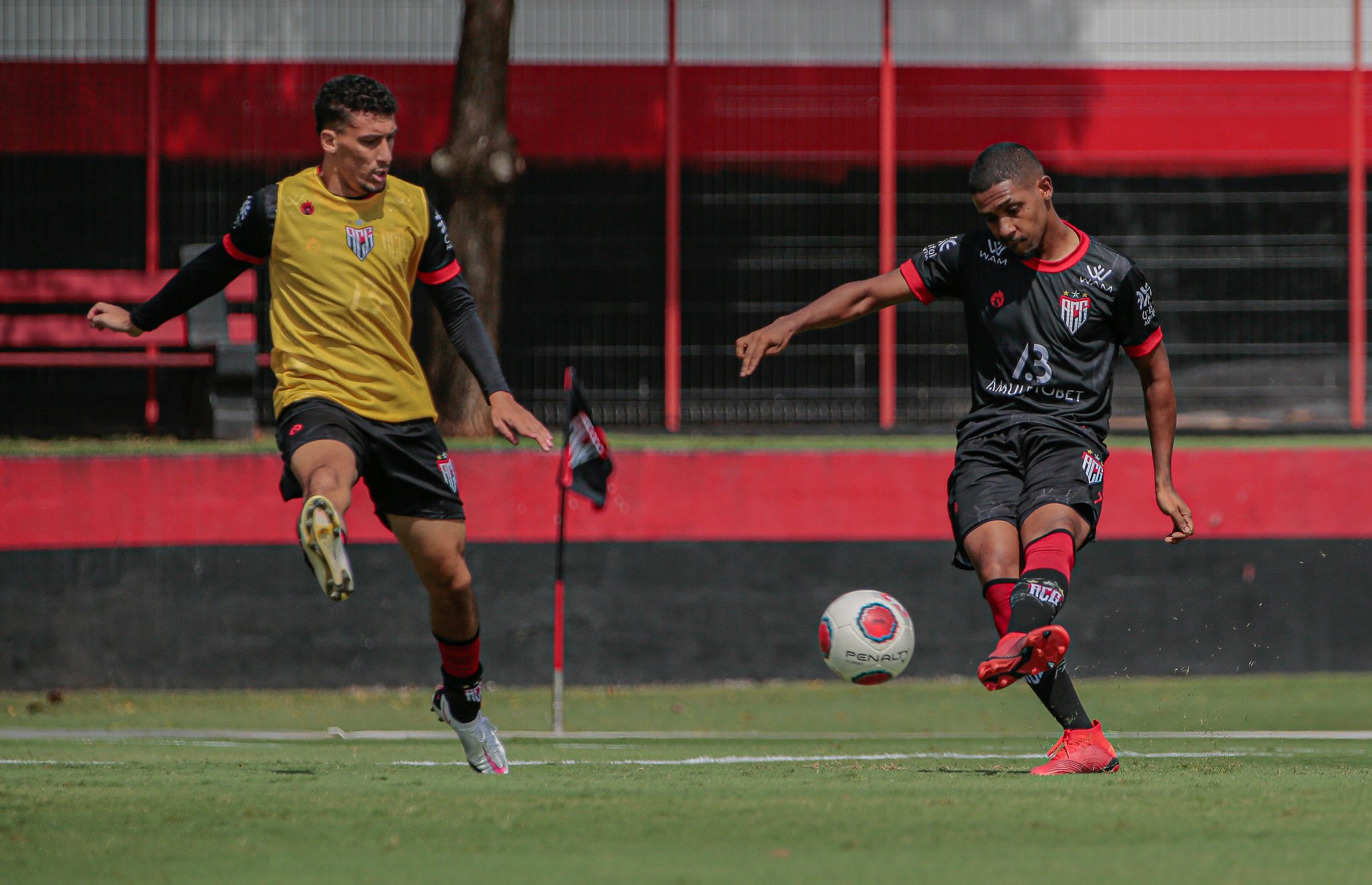 Atlético Goianiense busca seu 16º título no Estadual