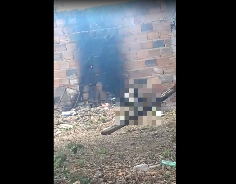 Cachorra é encontrada degolada e queimada em Rio Verde. Suspeito já está detido