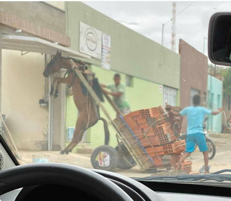 Burro fica suspenso em carroça com excesso de peso